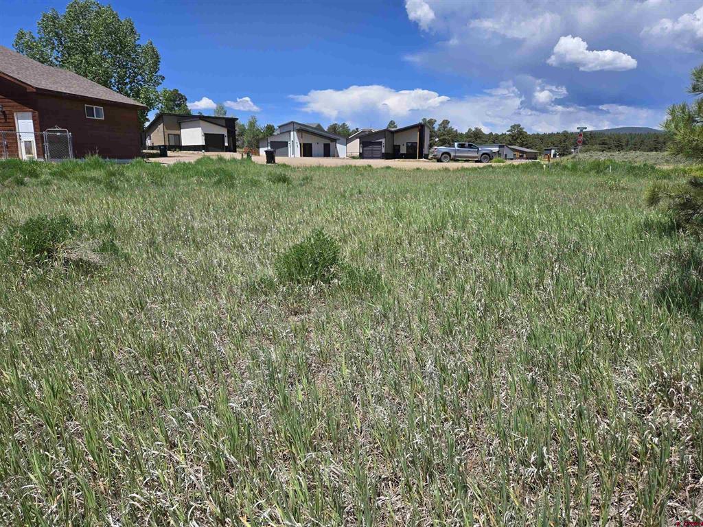 20 Lancer Court Pagosa Springs CO 81147