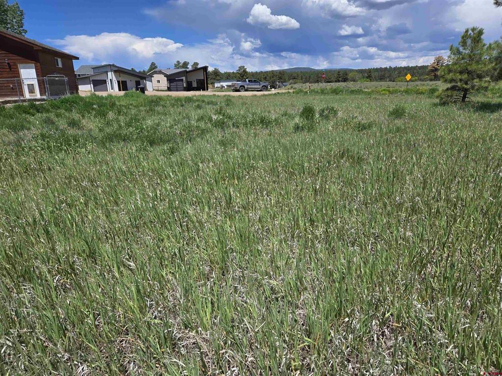 20 Lancer Court Pagosa Springs CO 81147