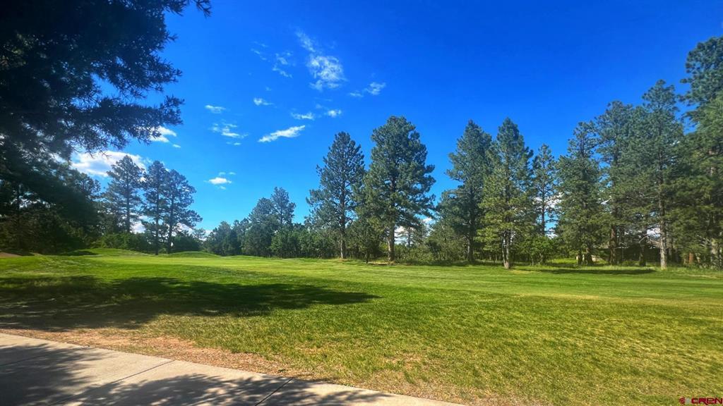 170 Puma Lane Ridgway CO 81432