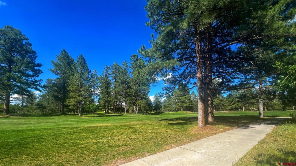 170 Puma Lane Ridgway CO 81432