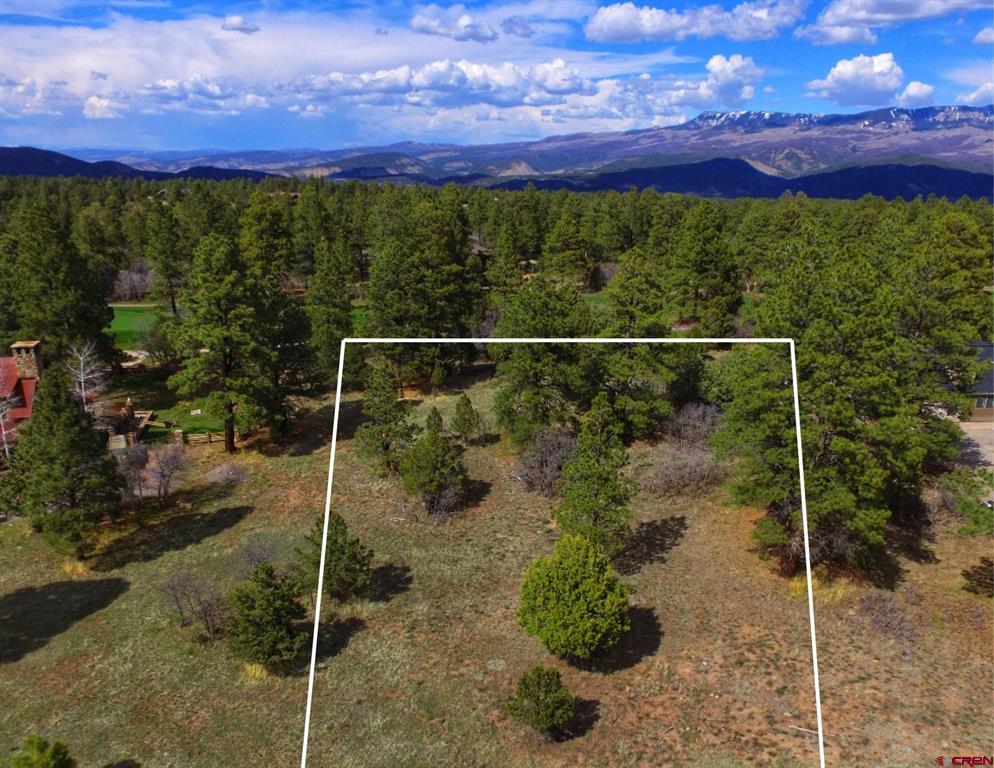 170 Puma Lane Ridgway CO 81432