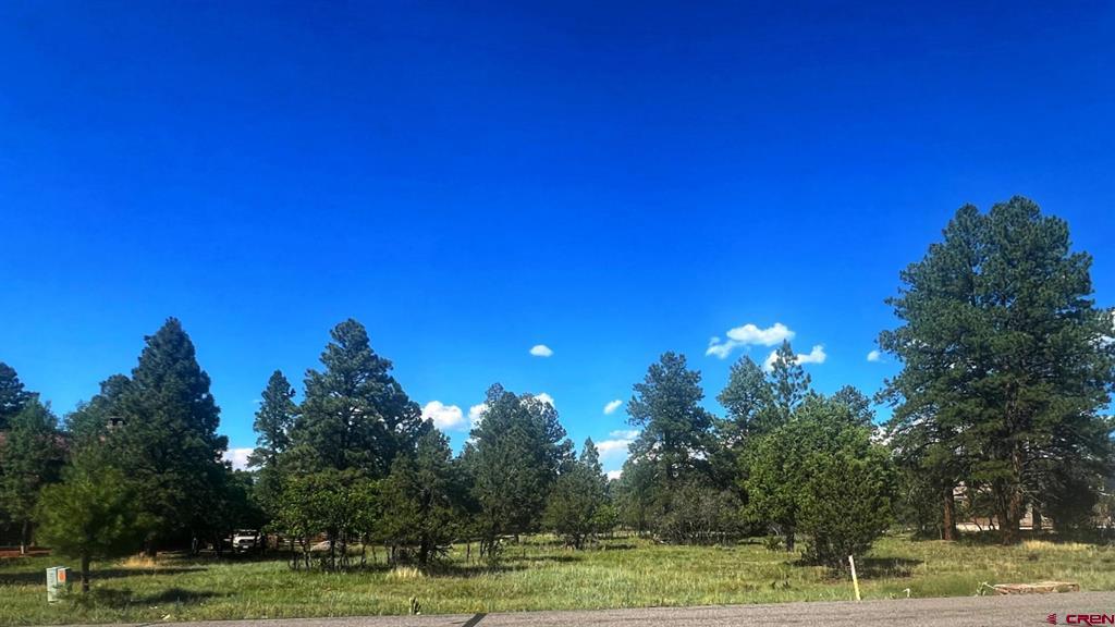 170 Puma Lane Ridgway CO 81432