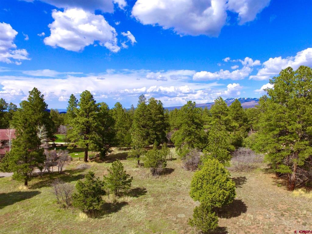 170 Puma Lane Ridgway CO 81432