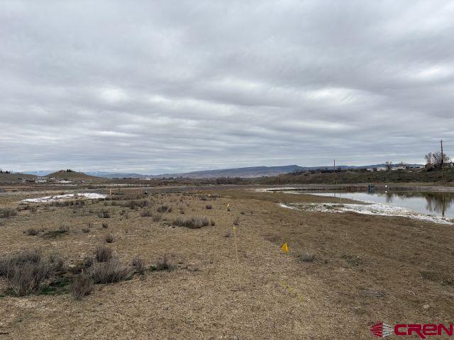 Tbd Jig Road Montrose CO 81401