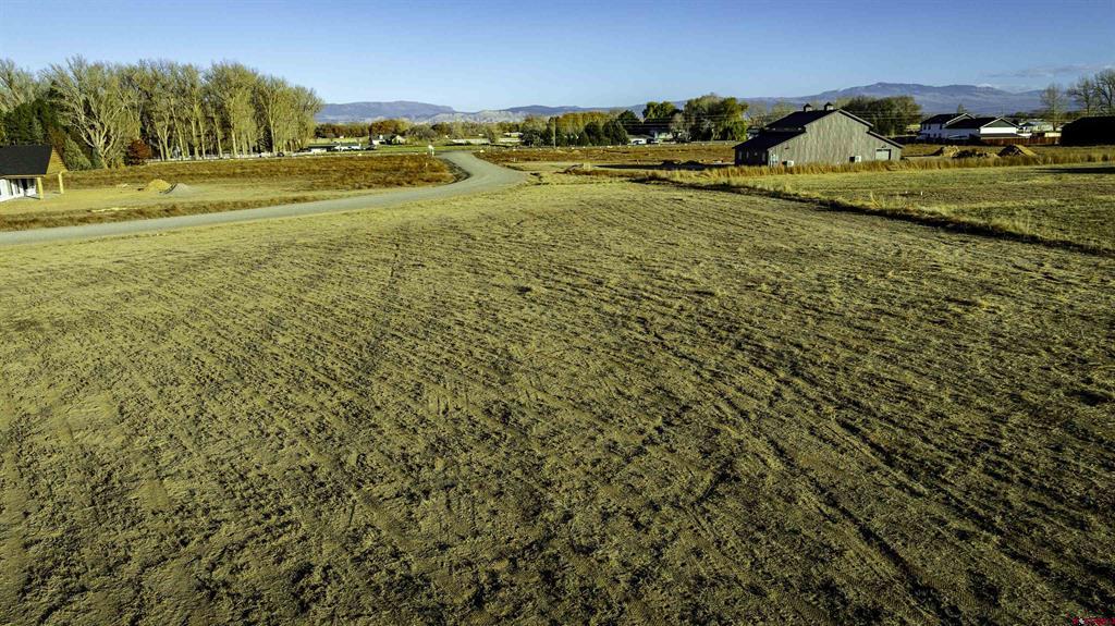 Lot 4 Nighthorse Lane Montrose CO 81403