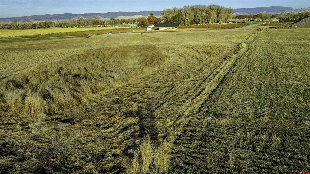 Lot 4 Nighthorse Lane Montrose CO 81403