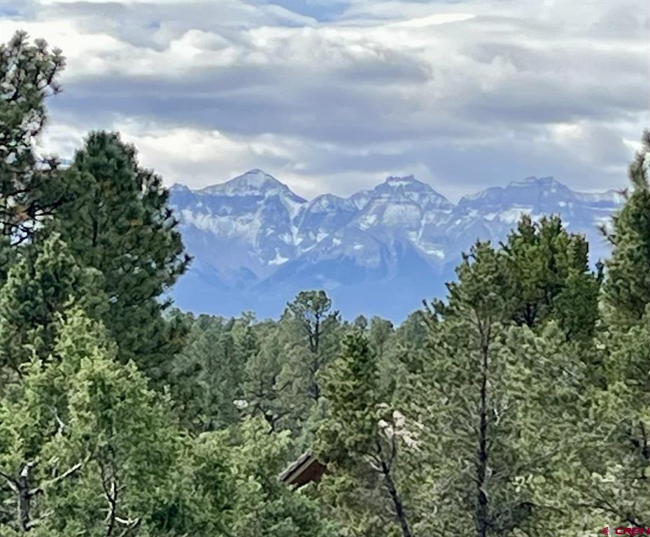 62 (lot 241) Gopher Court Ridgway CO 81432