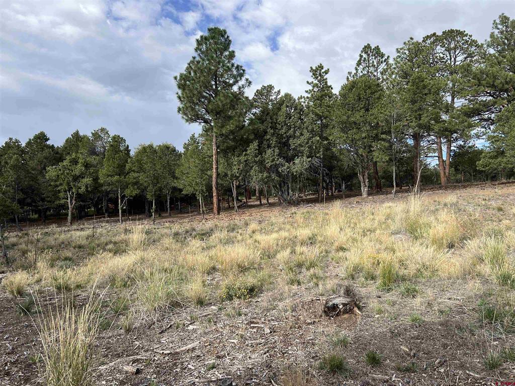 62 (lot 241) Gopher Court Ridgway CO 81432