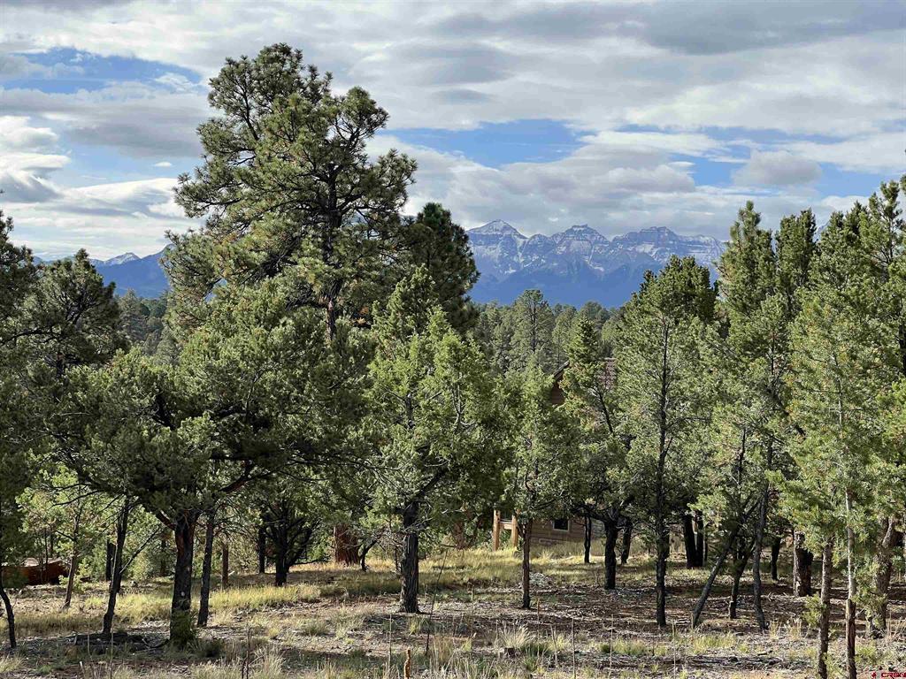 62 (lot 241) Gopher Court Ridgway CO 81432