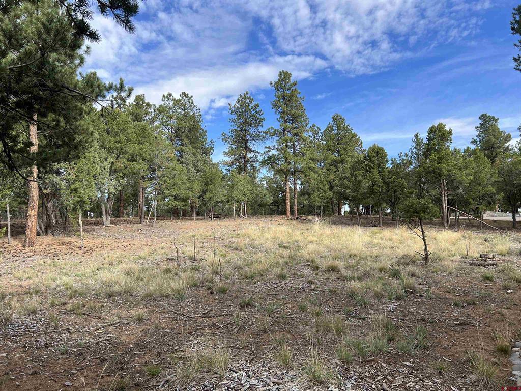 62 (lot 241) Gopher Court Ridgway CO 81432