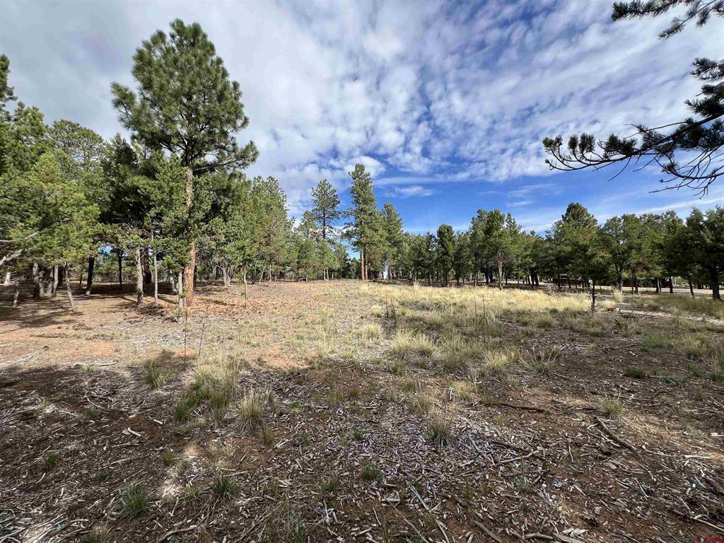 62 (lot 241) Gopher Court Ridgway CO 81432