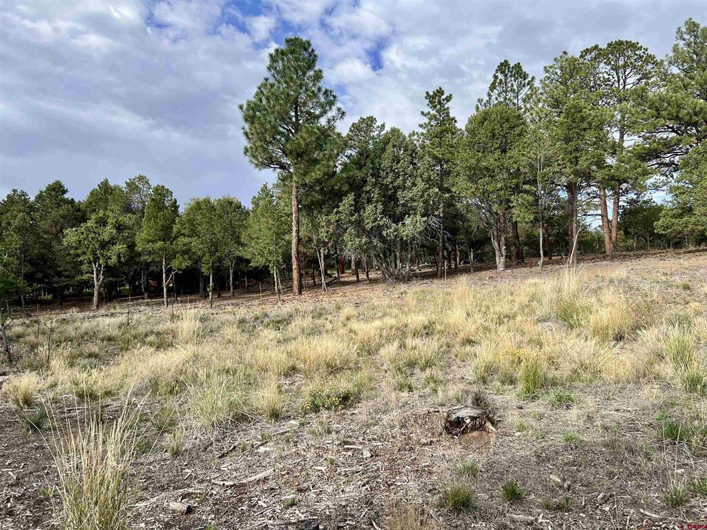 62 (lot 241) Gopher Court Ridgway CO 81432