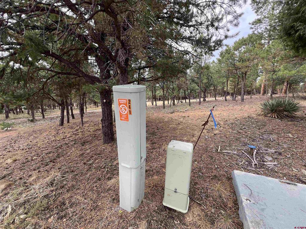 62 (lot 241) Gopher Court Ridgway CO 81432