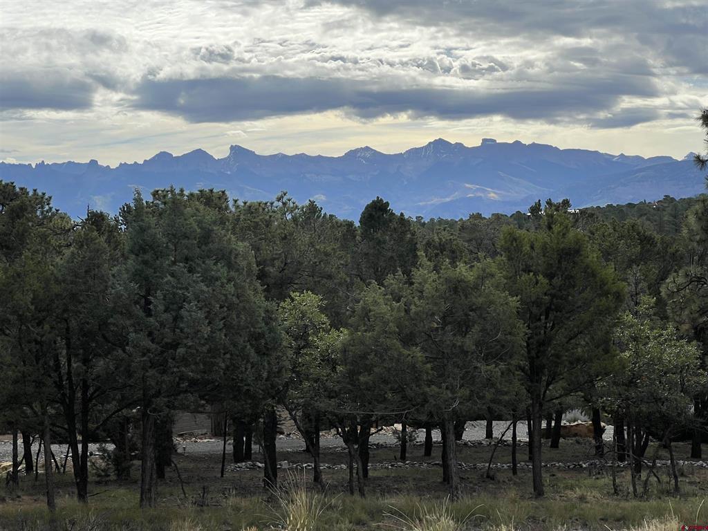 62 (lot 241) Gopher Court Ridgway CO 81432