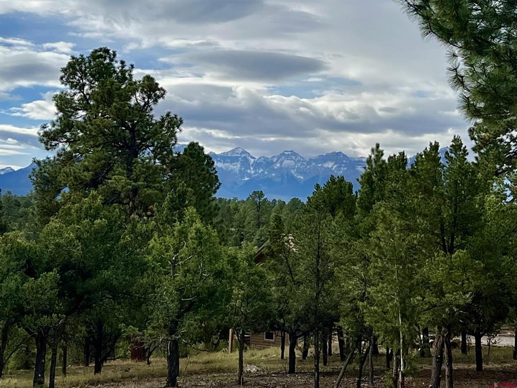 62 (lot 241) Gopher Court Ridgway CO 81432