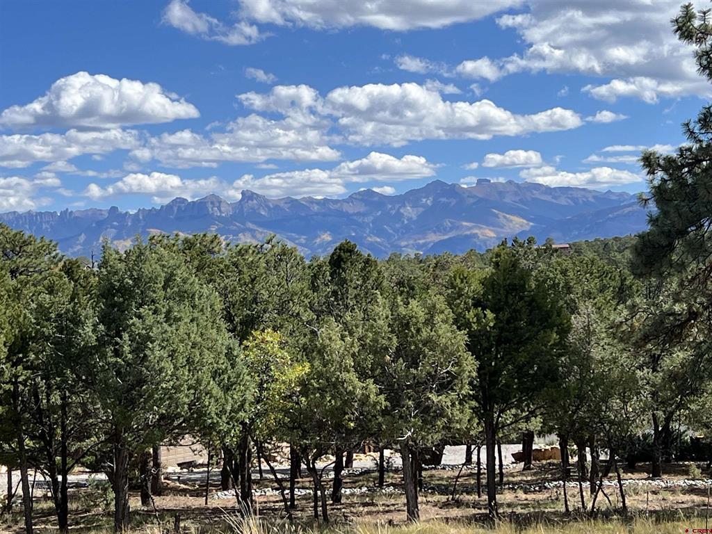 62 (lot 241) Gopher Court Ridgway CO 81432