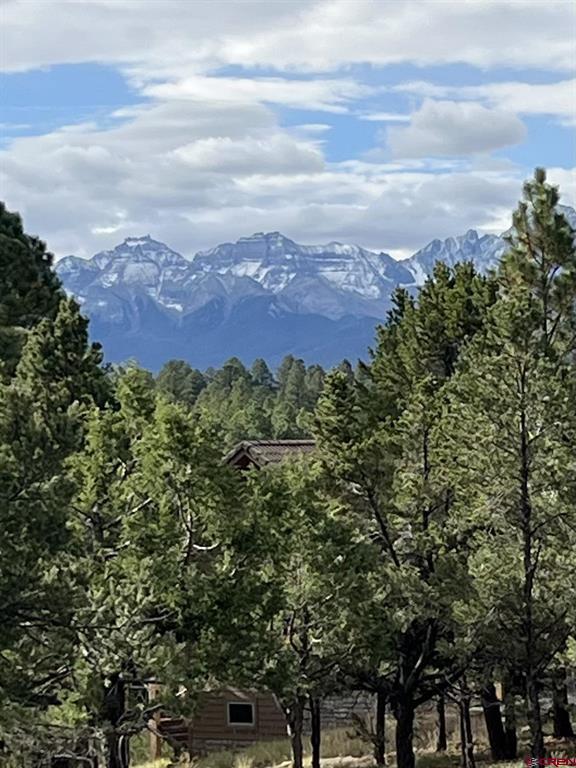 62 (lot 241) Gopher Court Ridgway CO 81432