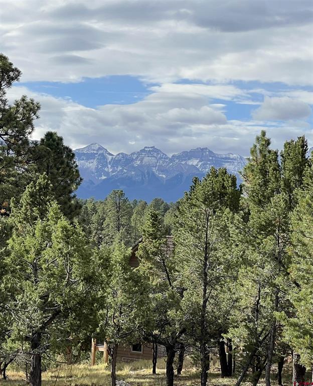 62 (lot 241) Gopher Court Ridgway CO 81432