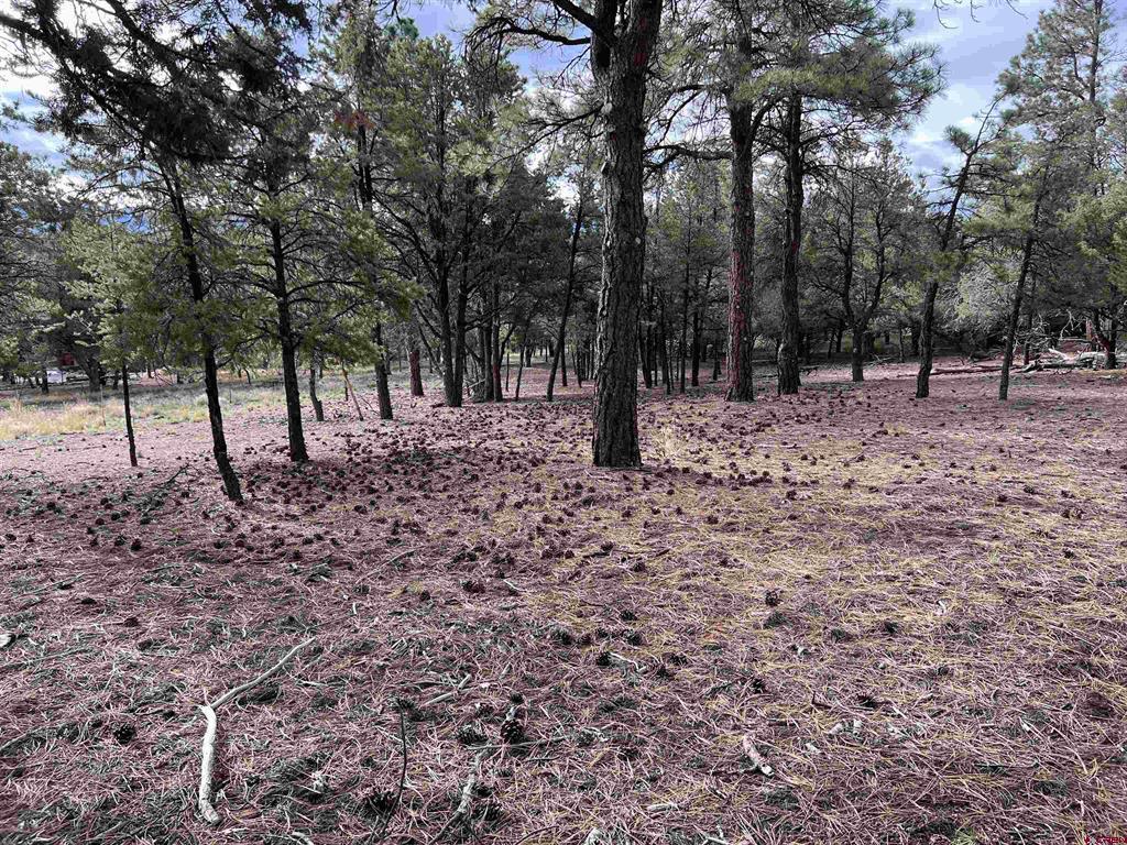 62 (lot 241) Gopher Court Ridgway CO 81432