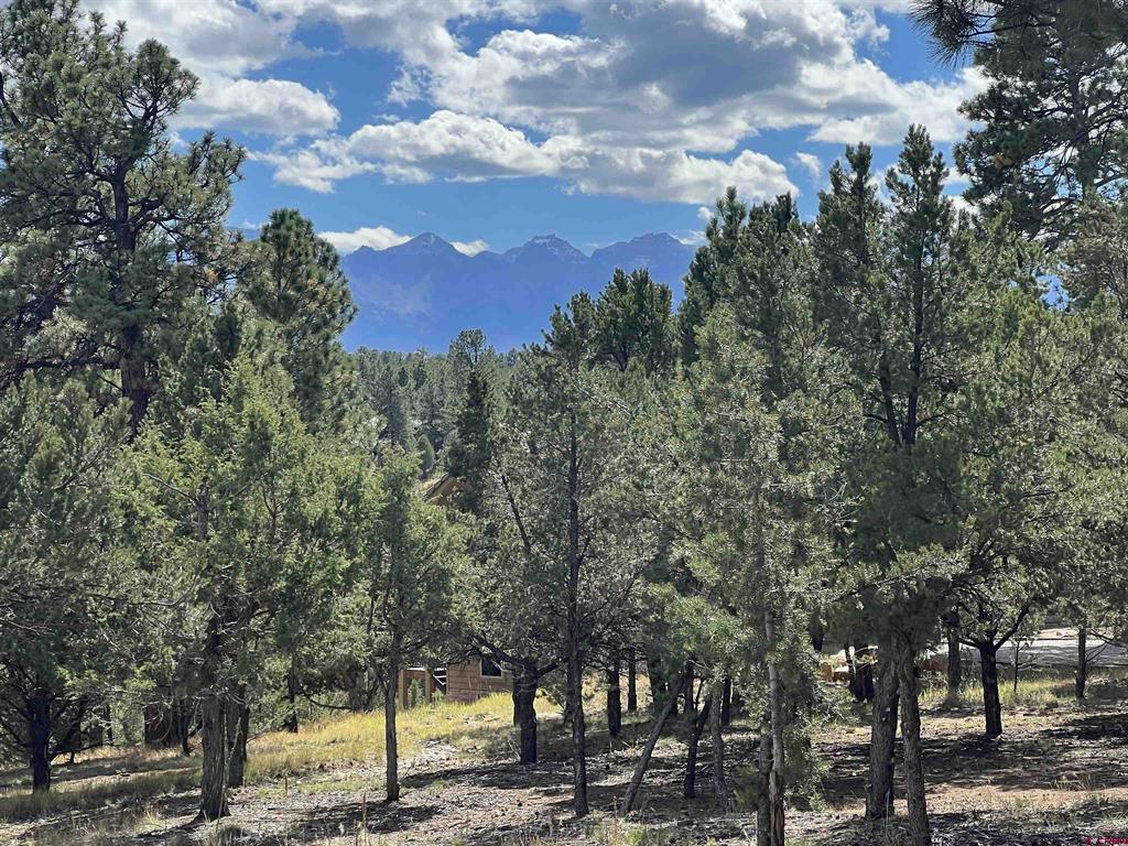 62 (lot 241) Gopher Court Ridgway CO 81432