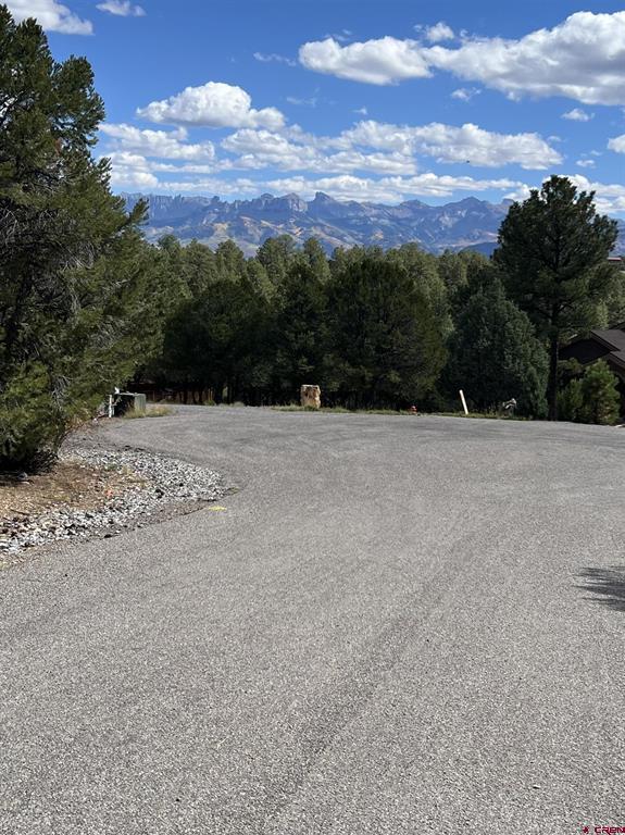 62 (lot 241) Gopher Court Ridgway CO 81432