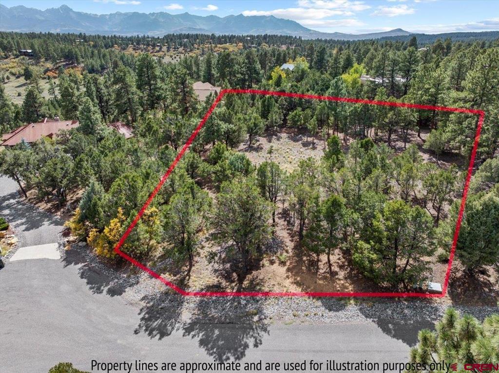 62 (lot 241) Gopher Court Ridgway CO 81432