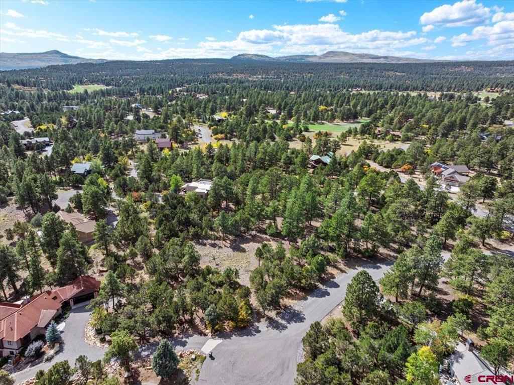 62 (lot 241) Gopher Court Ridgway CO 81432