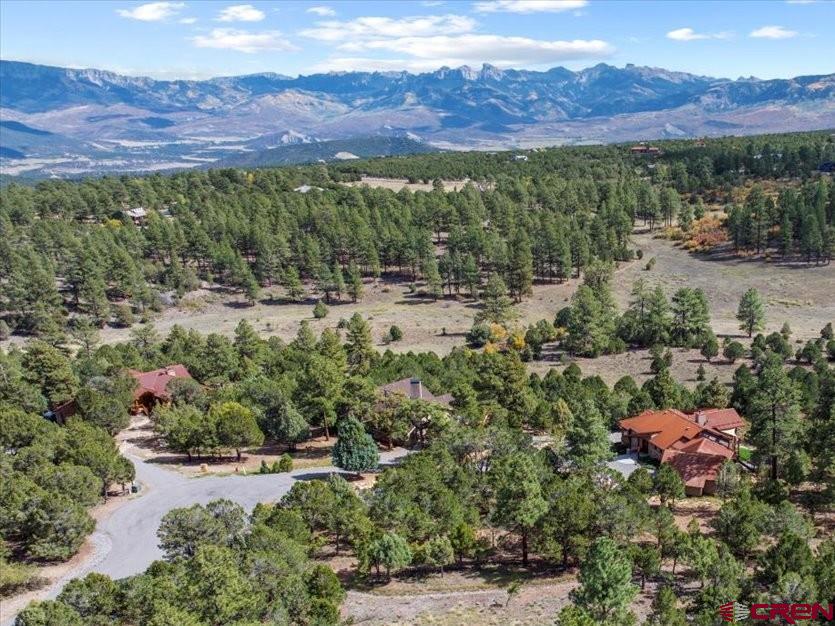 62 (lot 241) Gopher Court Ridgway CO 81432
