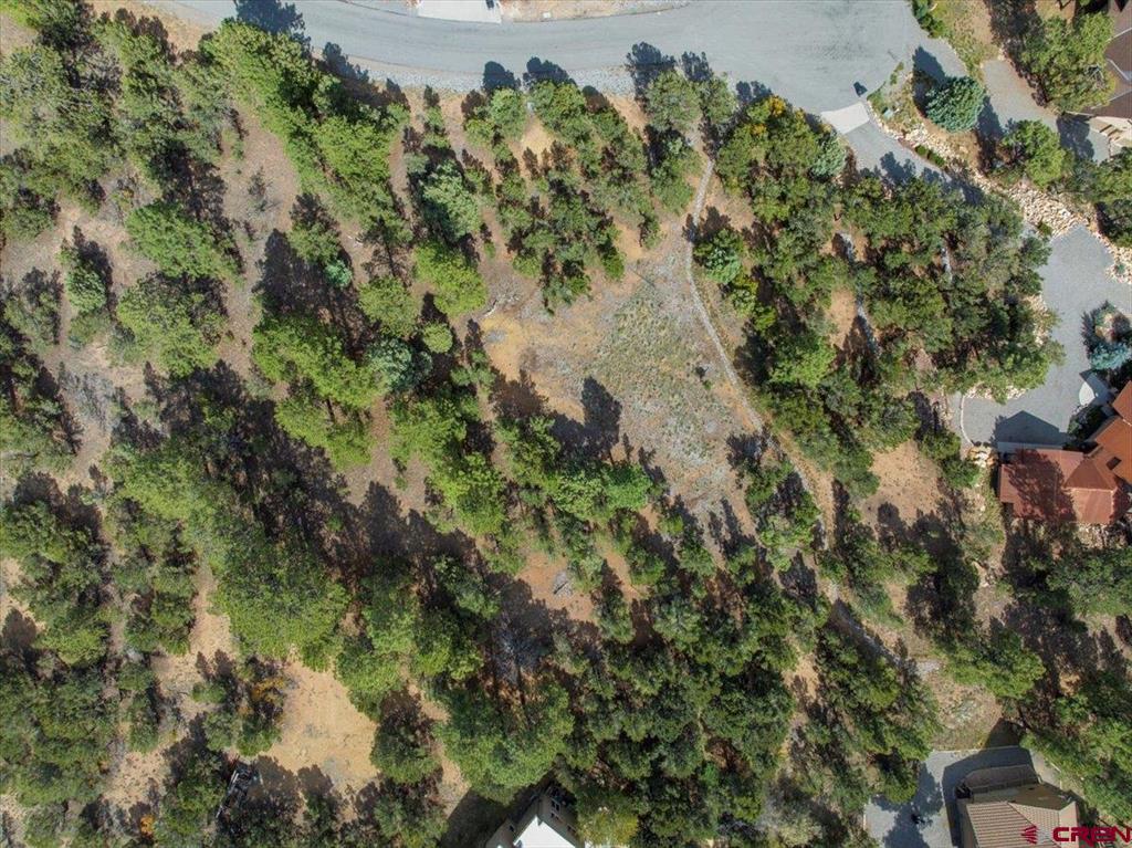 62 (lot 241) Gopher Court Ridgway CO 81432