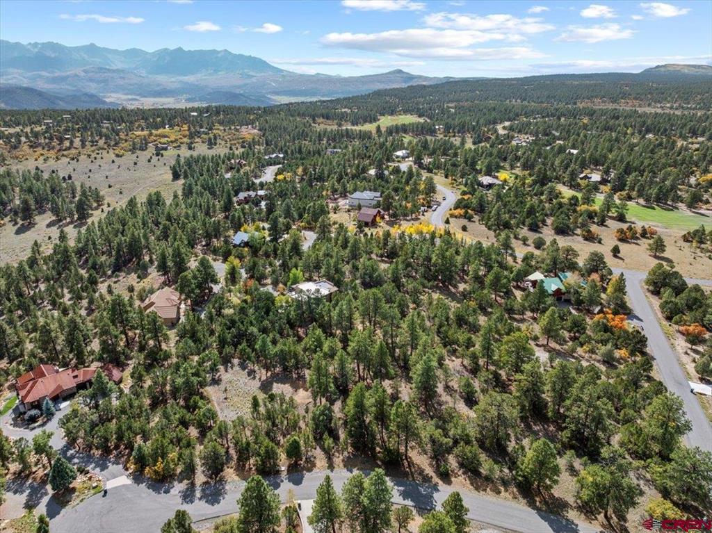 62 (lot 241) Gopher Court Ridgway CO 81432