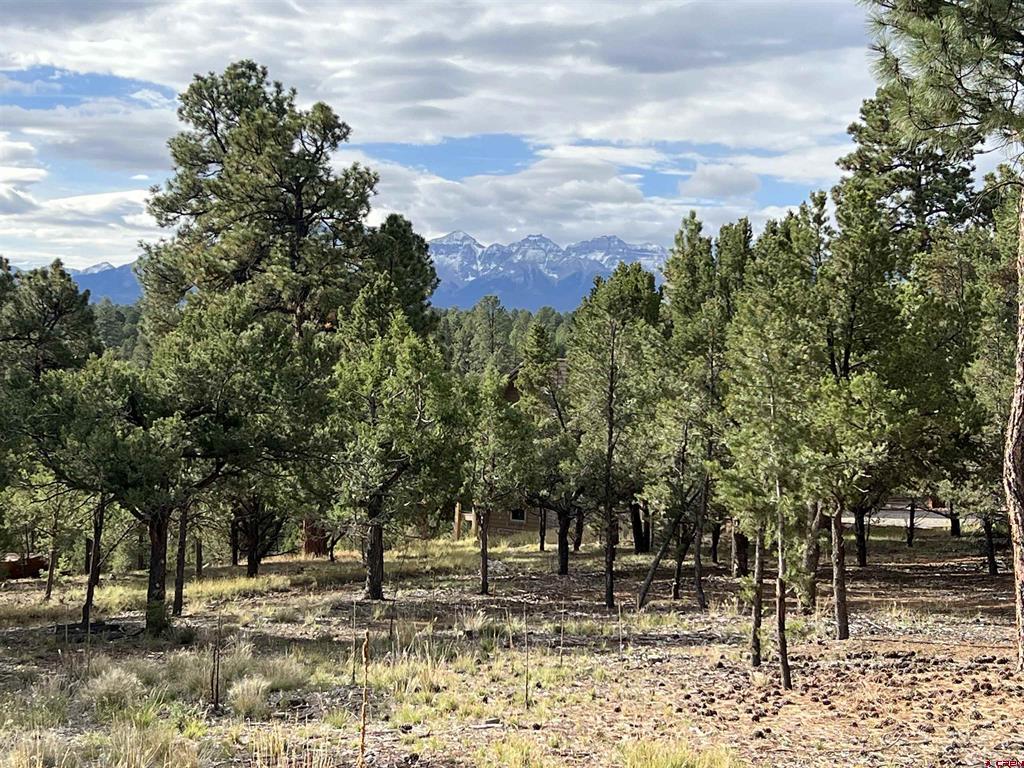62 (lot 241) Gopher Court Ridgway CO 81432