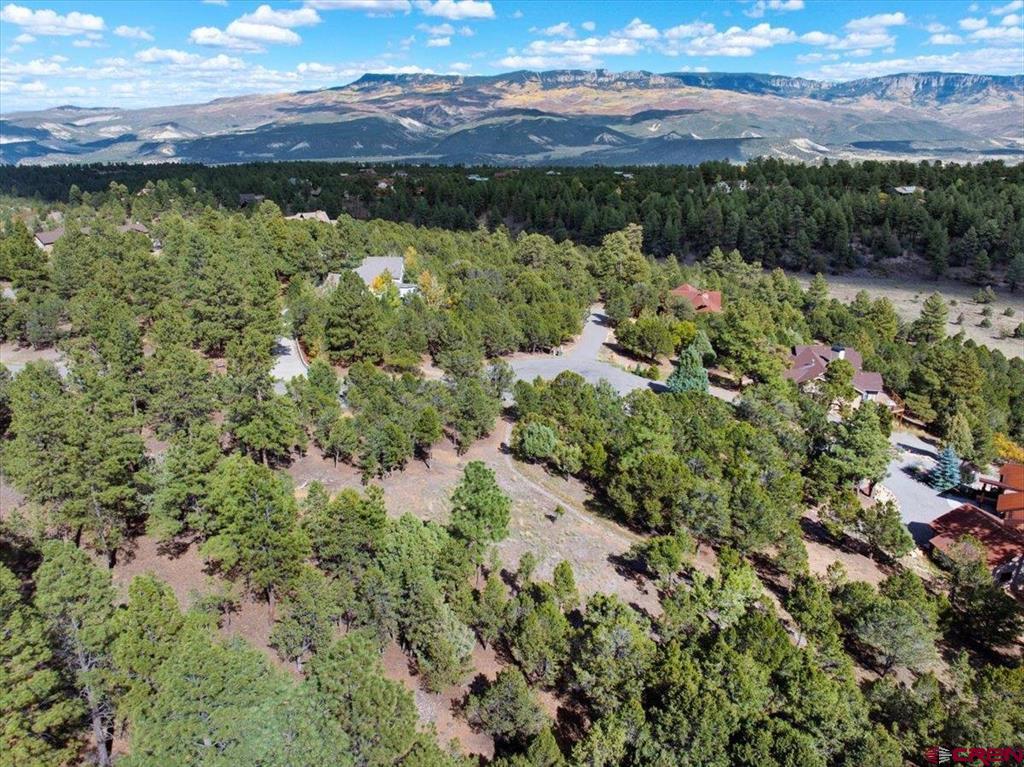62 (lot 241) Gopher Court Ridgway CO 81432