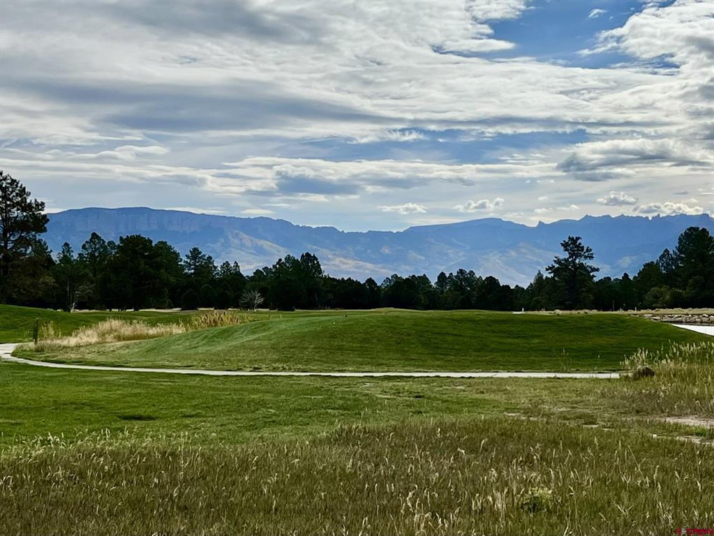 62 (lot 241) Gopher Court Ridgway CO 81432
