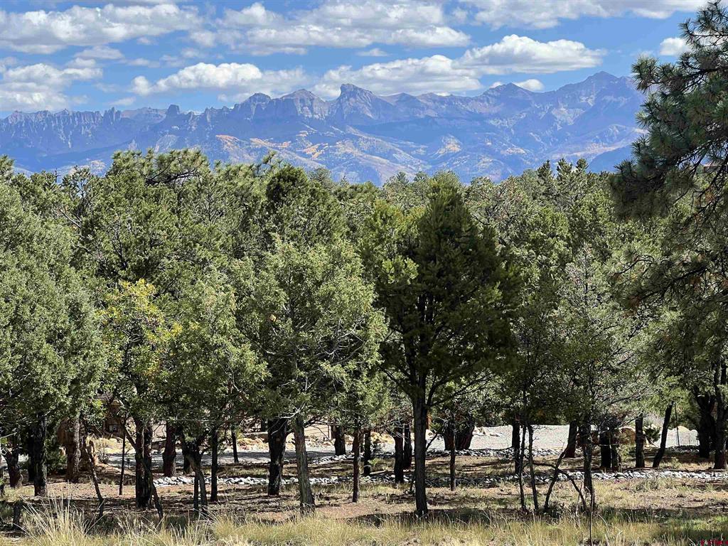 62 (lot 241) Gopher Court Ridgway CO 81432