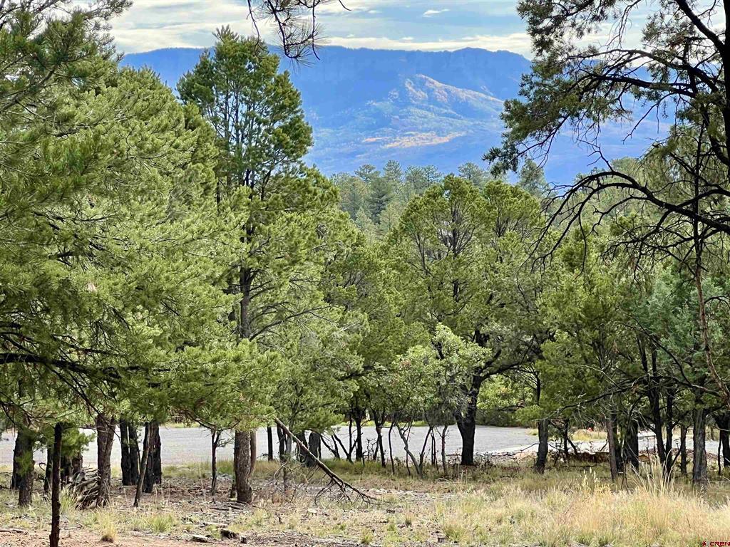62 (lot 241) Gopher Court Ridgway CO 81432