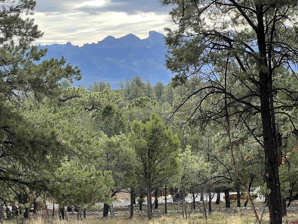 62 (lot 241) Gopher Court Ridgway CO 81432