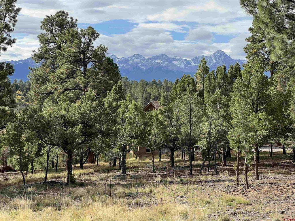 62 (lot 241) Gopher Court Ridgway CO 81432