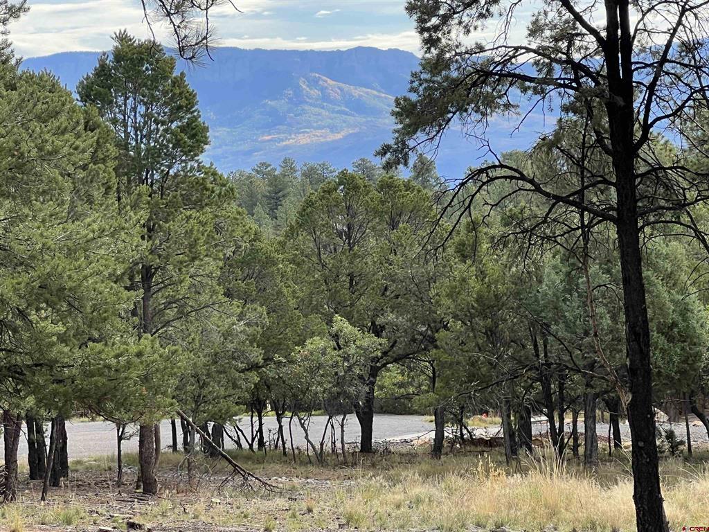 62 (lot 241) Gopher Court Ridgway CO 81432