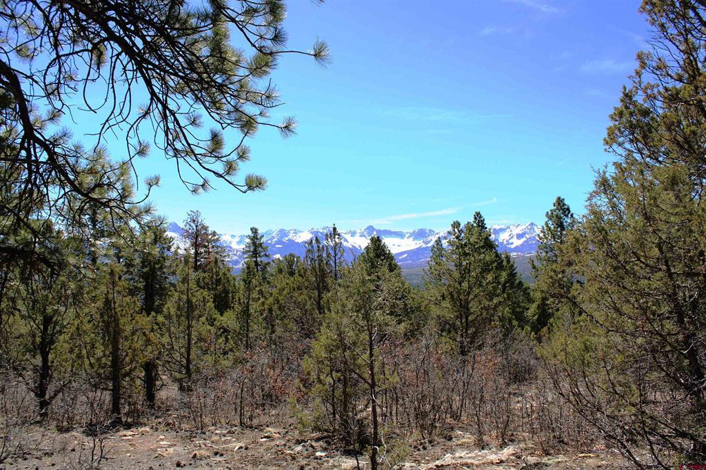 Tbd Old Relay Road Ridgway CO 81432