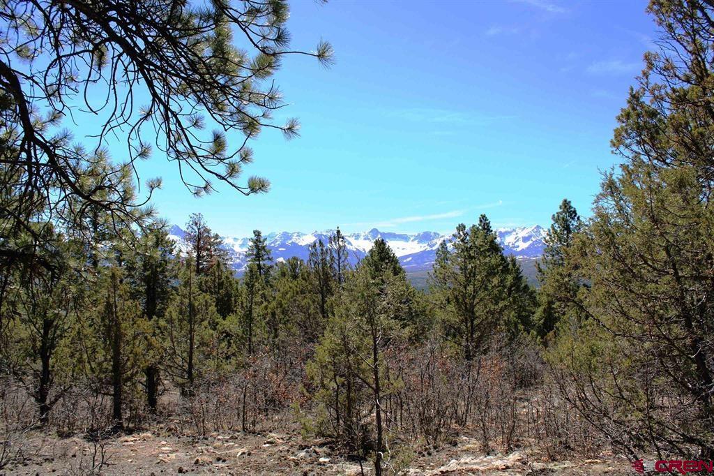 Tbd Old Relay Road Ridgway CO 81432