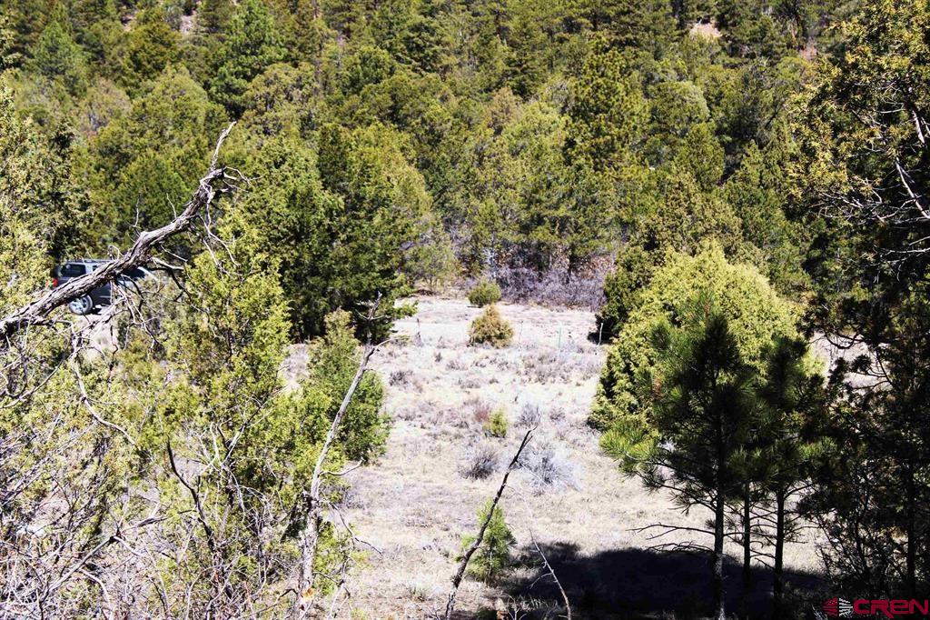 Tbd Old Relay Road Ridgway CO 81432