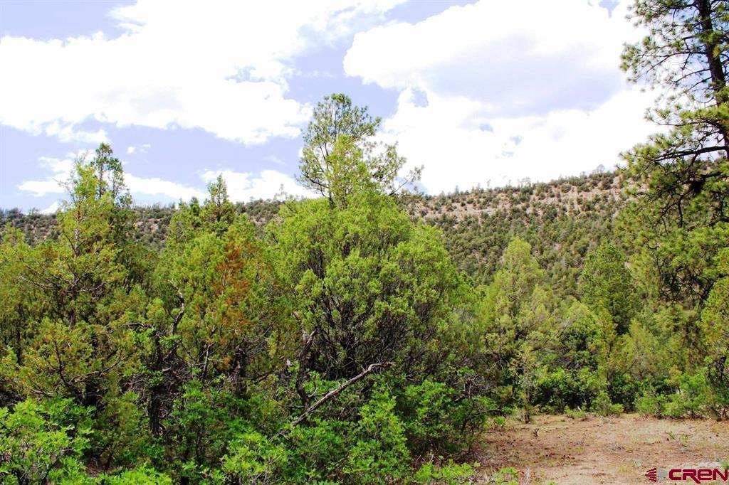 Tbd Old Relay Road Ridgway CO 81432