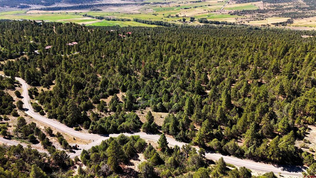 Tbd Old Relay Road Ridgway CO 81432