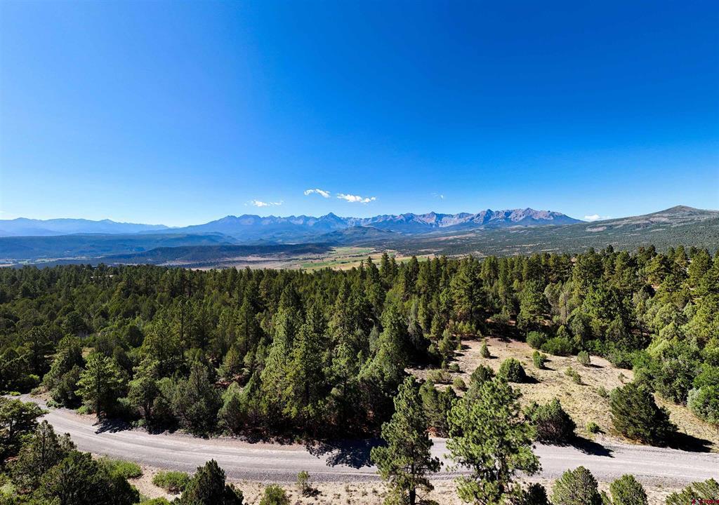 Tbd Old Relay Road Ridgway CO 81432
