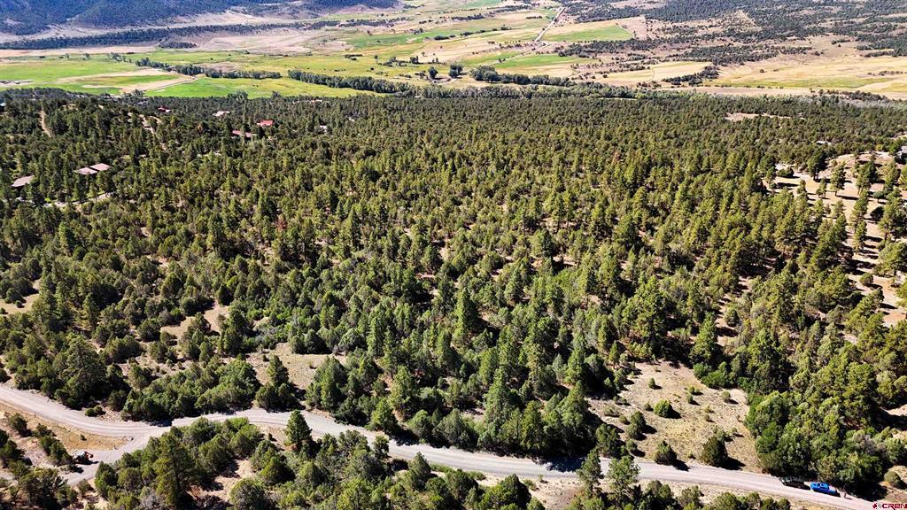 Tbd Old Relay Road Ridgway CO 81432