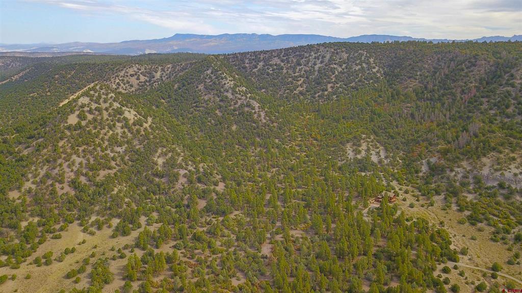 Tbd County Road 7a Ridgway CO 81432