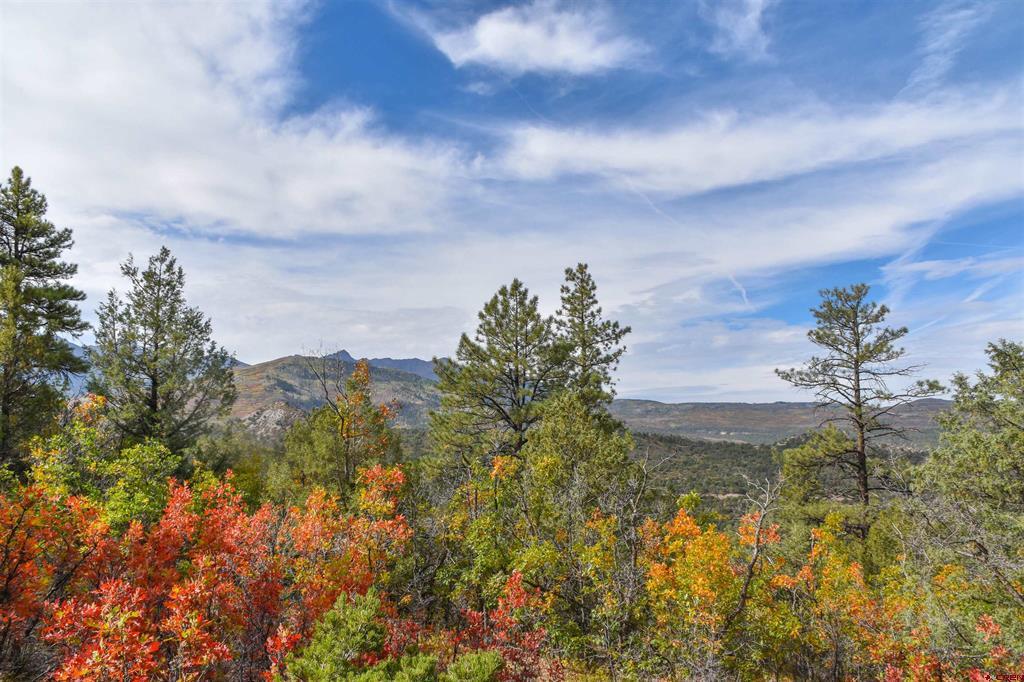 Tbd County Road 7a Ridgway CO 81432