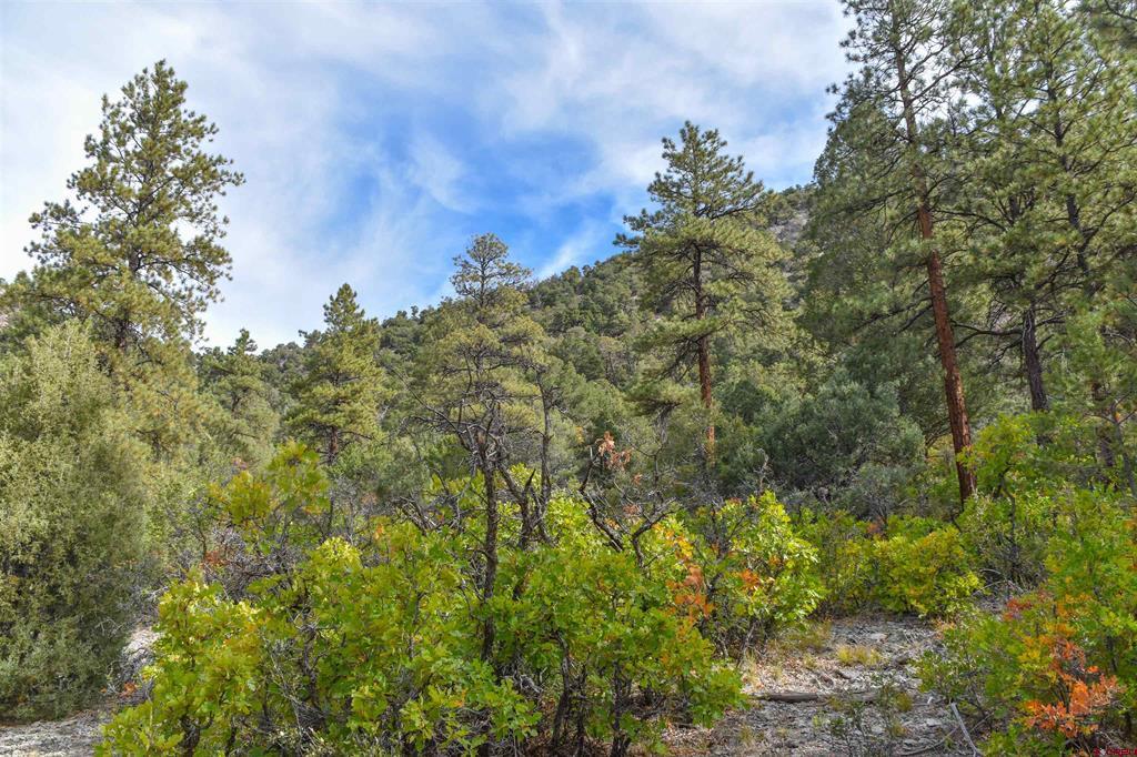Tbd County Road 7a Ridgway CO 81432