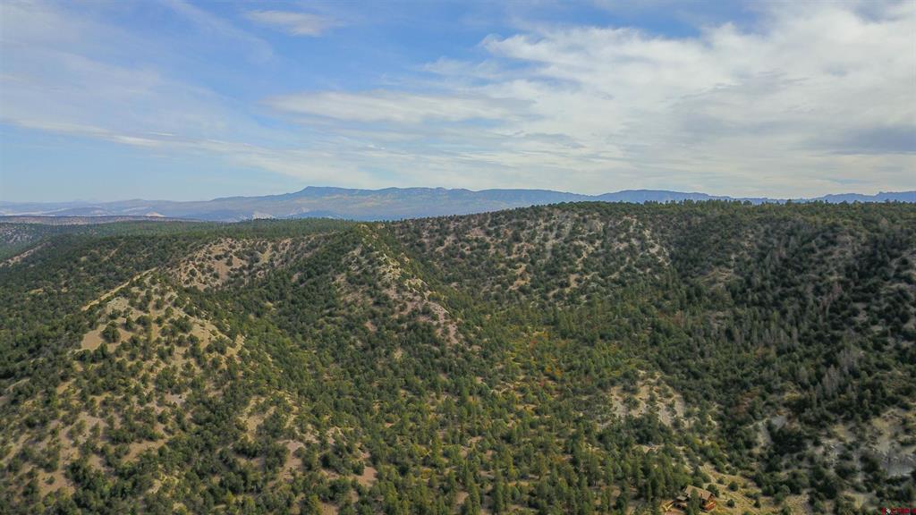 Tbd County Road 7a Ridgway CO 81432