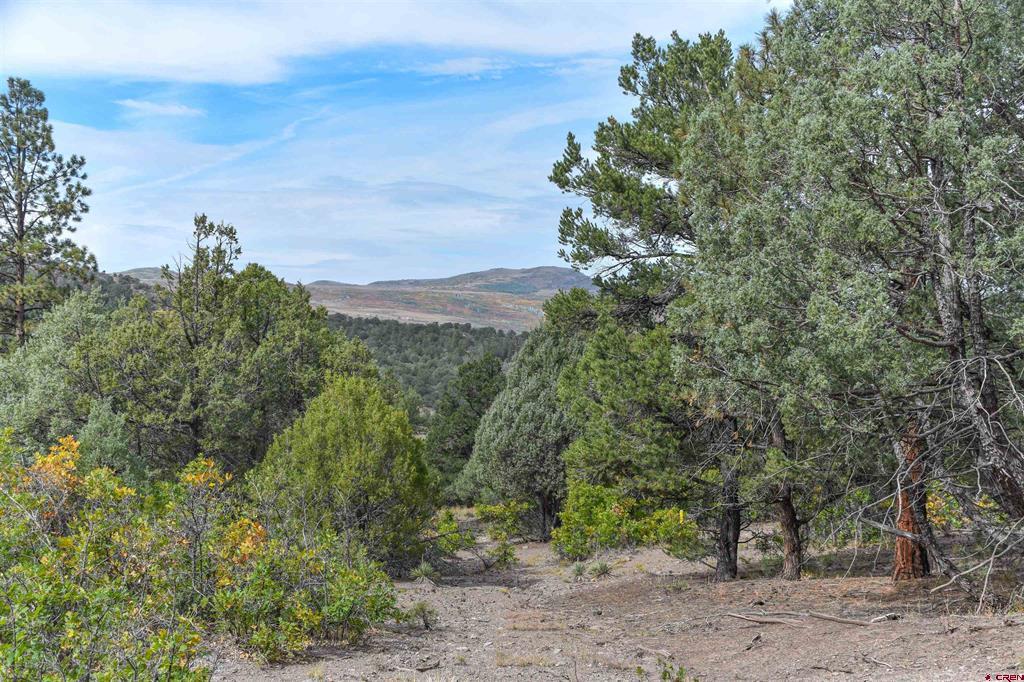 Tbd County Road 7a Ridgway CO 81432